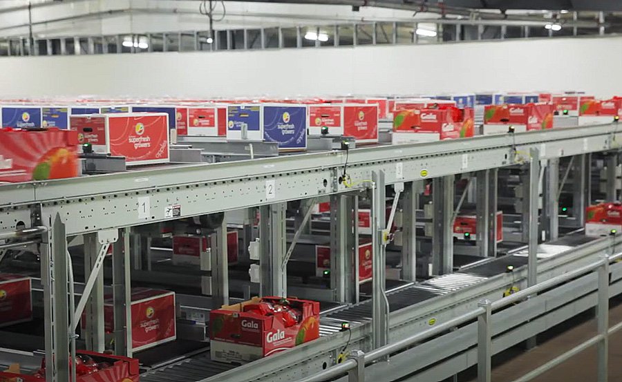 CPC-international-produce-cartonconveyor-automation-food