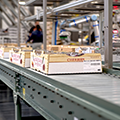 McDougall-RHBrown-cherry-boxes-on-roller-conveyor-thumb