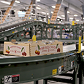 McDougall-RHBrown-cherry-boxes-on-roller-curve-conveyor2-thumb