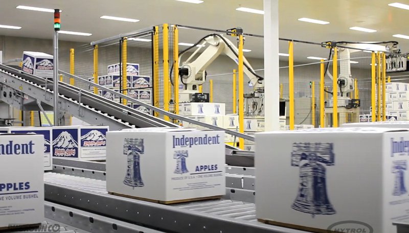 Washington-fruit-produce-automated-fruit-packing-robotics-conveyor
