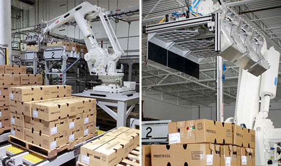 Used Equipment for Robotic Palletizing Cell